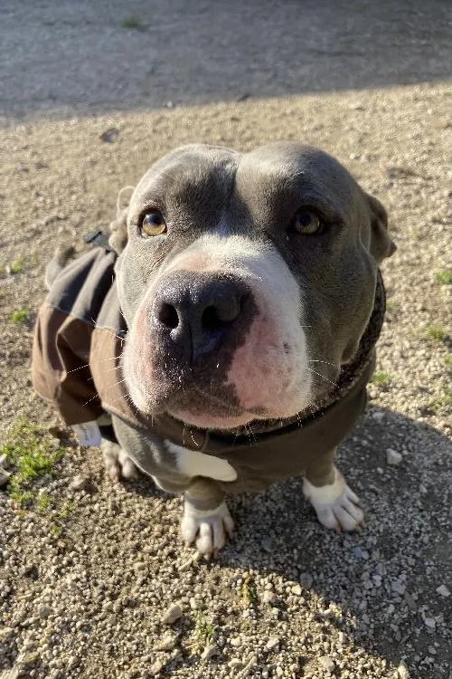 Zeus